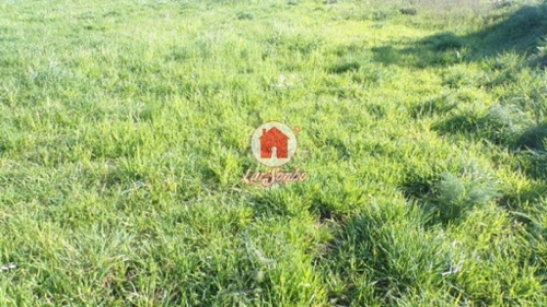 Amorim Póvoa De Varzim terrein foto 320676