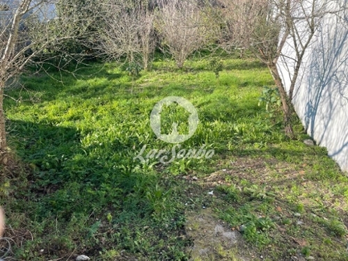 Amorim Póvoa De Varzim terrein foto 320895