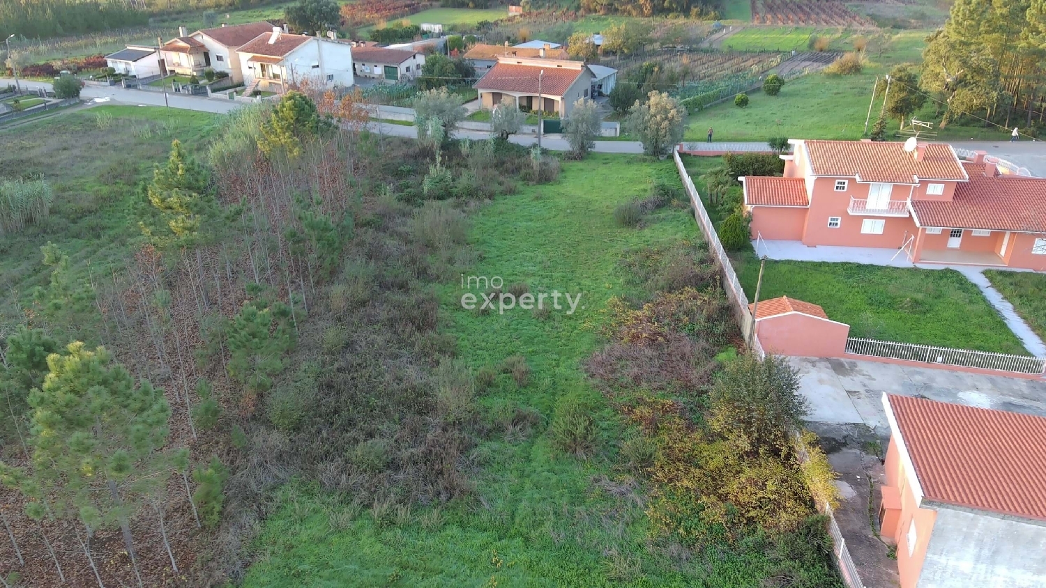  à vendre terrain Anadia Anadia 5