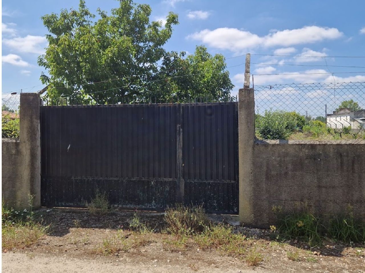  for sale terrain Antes Mealhada 2