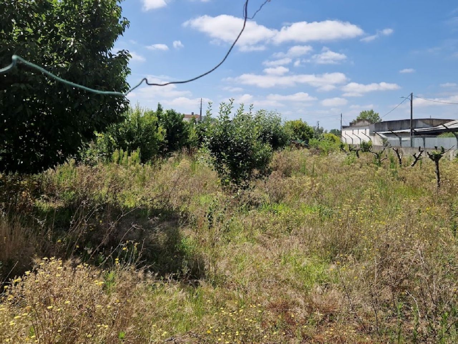  for sale terrain Antes Mealhada 3
