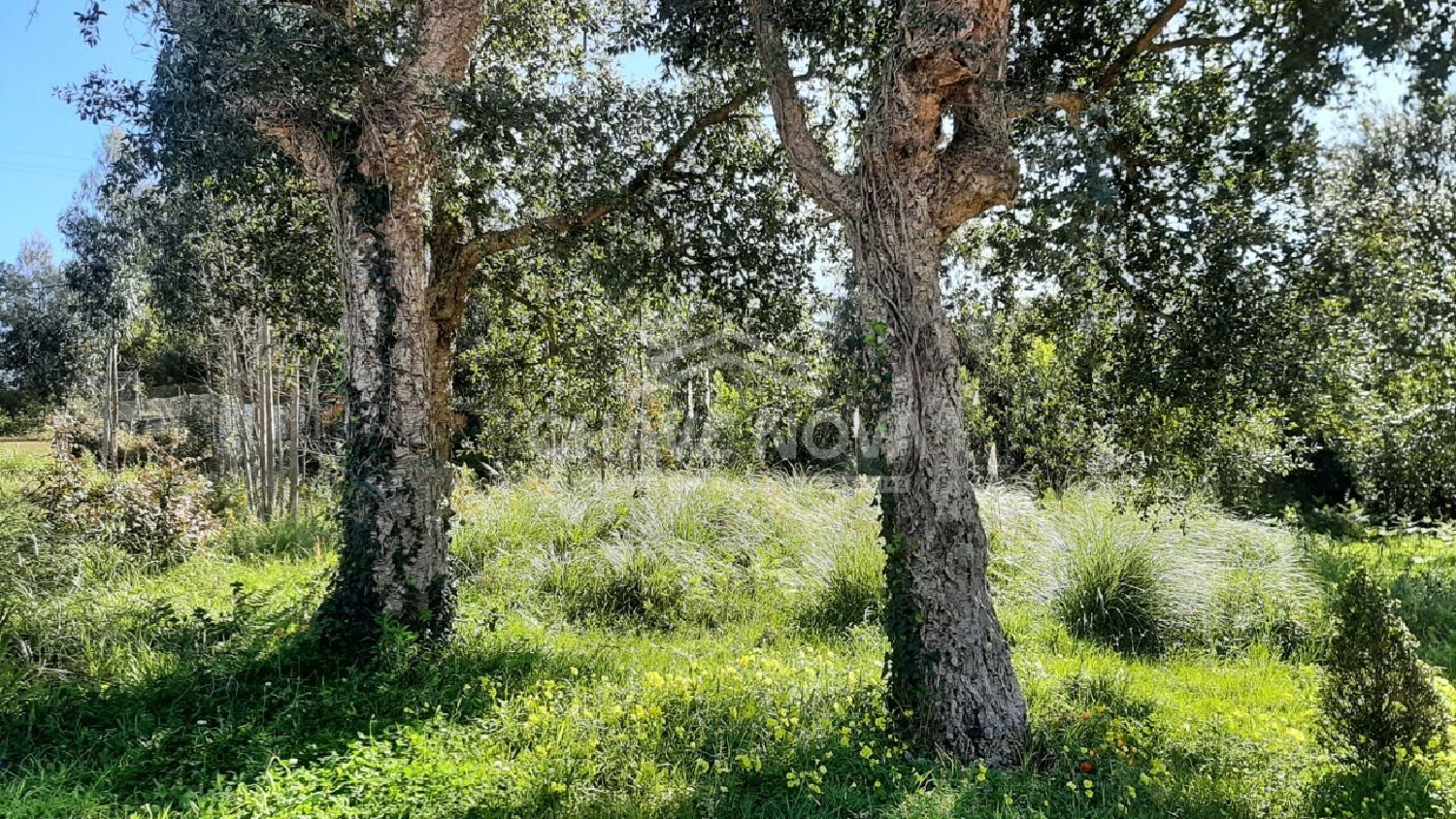 te koop terrein Arcozelo Vila Nova De Gaia 2