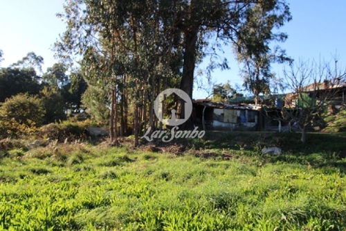 Areias Santo Tirso terreno foto 320763