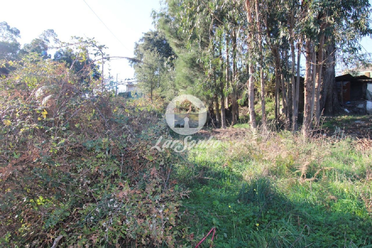 à venda terreno Areias Santo Tirso 2