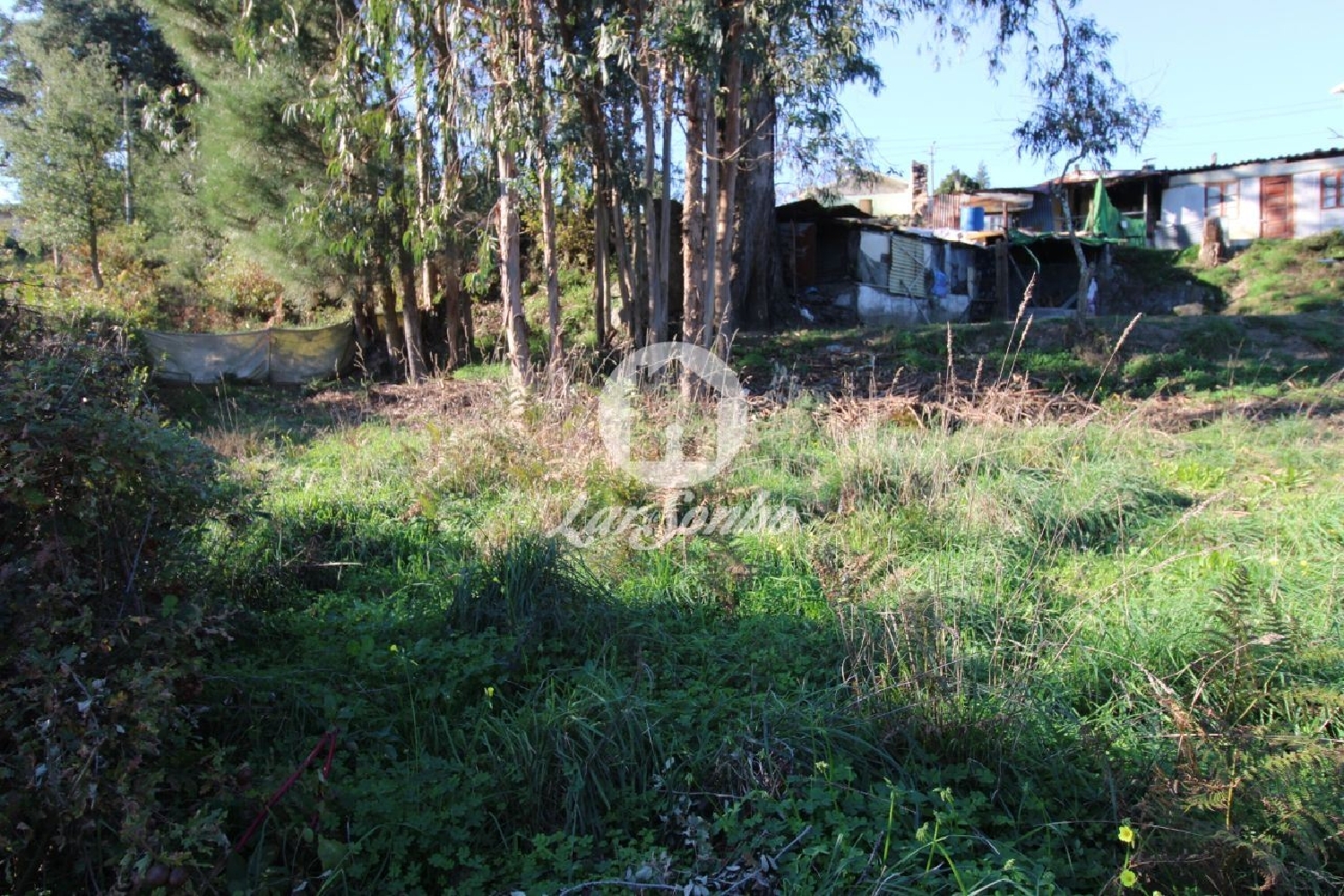 à venda terreno Areias Santo Tirso 3