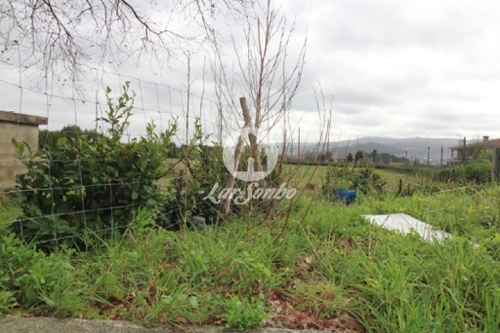 Areias Santo Tirso terreno foto 320766
