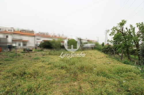 Areias Santo Tirso terreno foto 320772
