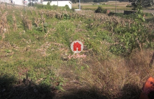 Argivai Póvoa De Varzim terrein foto 320647