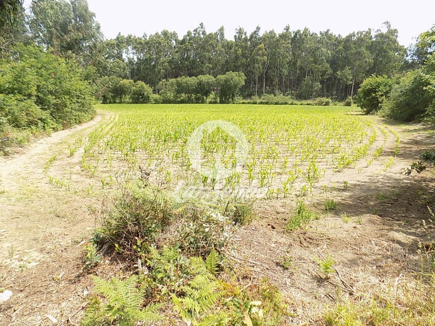  te koop terrein Argivai Póvoa De Varzim 1