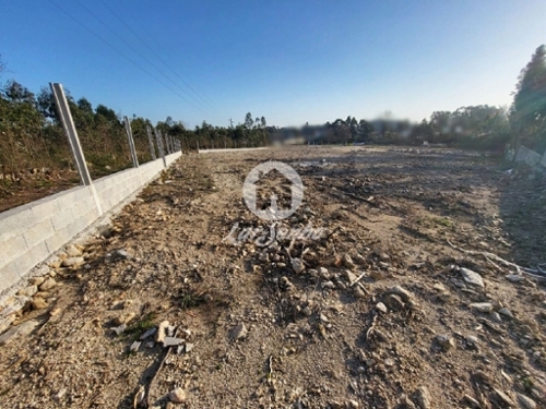 Argivai Póvoa De Varzim terrein foto 320897