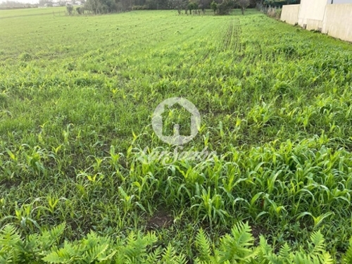 Argivai Póvoa De Varzim terreno foto 320968