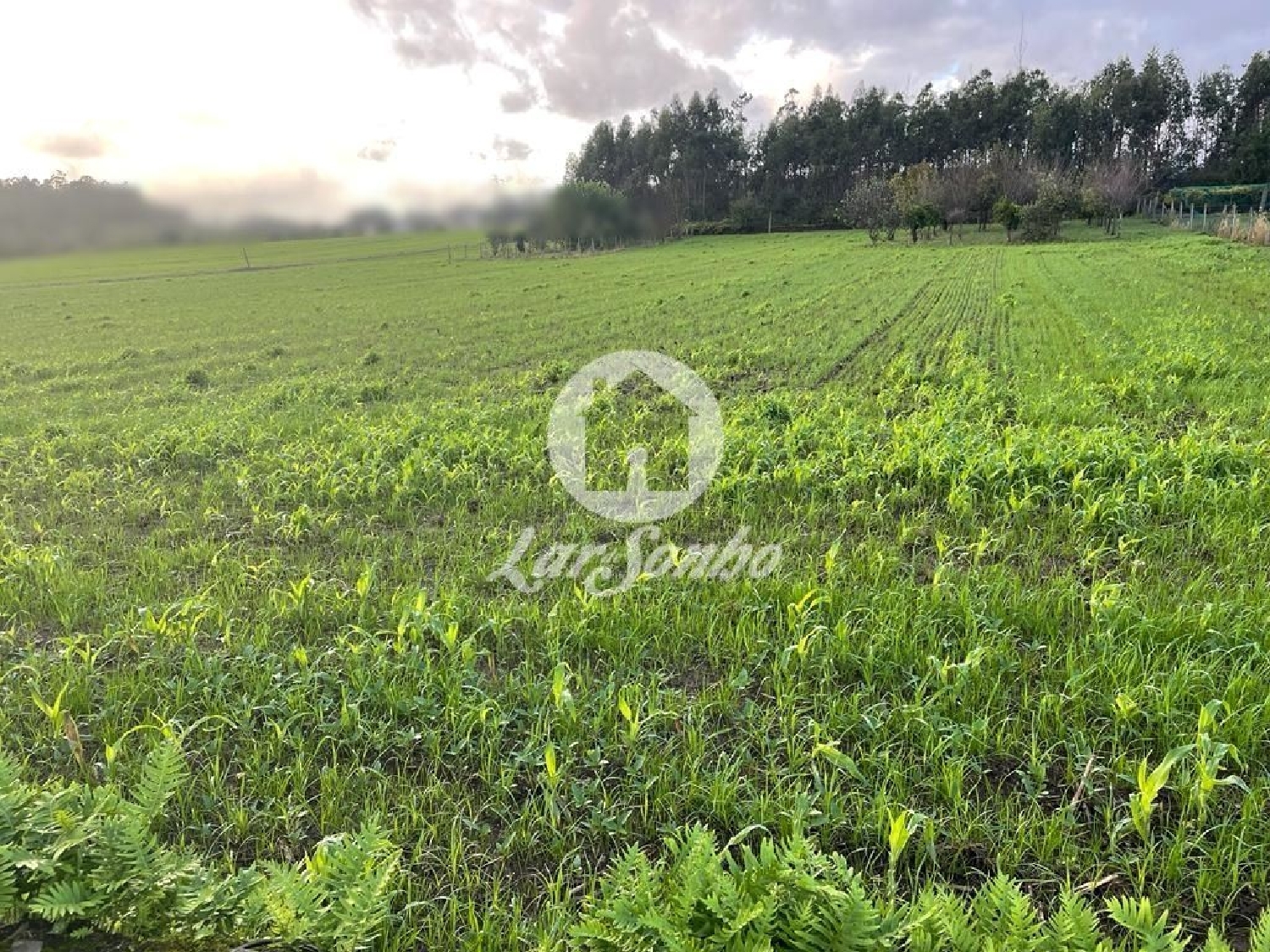 en venta terreno Argivai Póvoa De Varzim 2