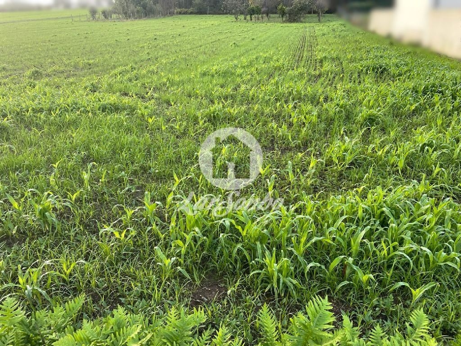 en venta terreno Argivai Póvoa De Varzim 3