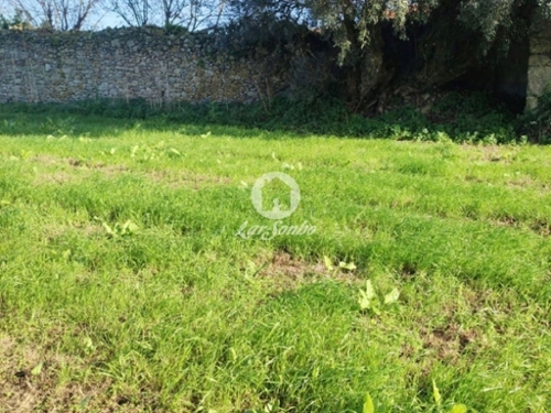 Argivai Póvoa De Varzim terrein foto 321112