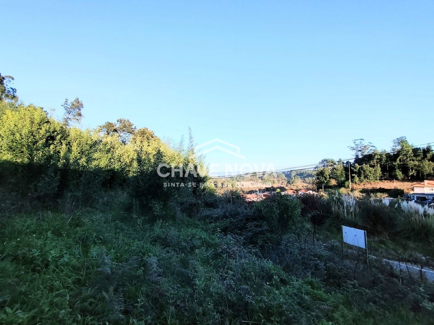 for sale terrain Argoncilhe Santa Maria Da Feira 3