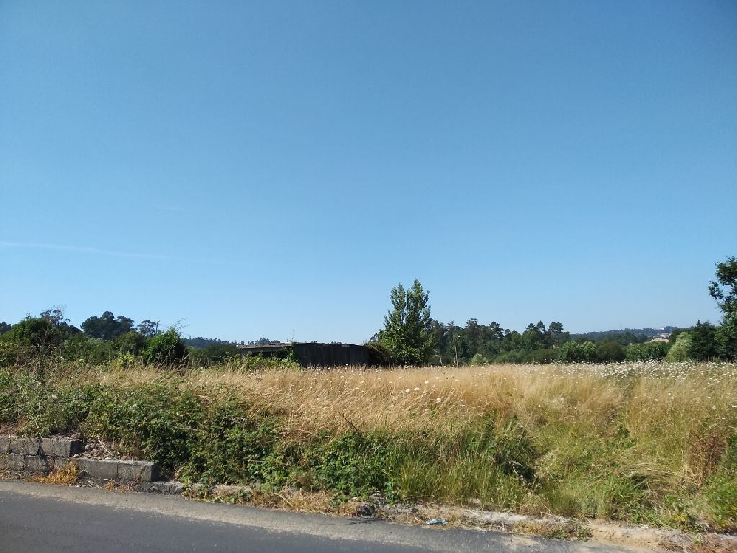 te koop terrein Argoncilhe Santa Maria Da Feira 3