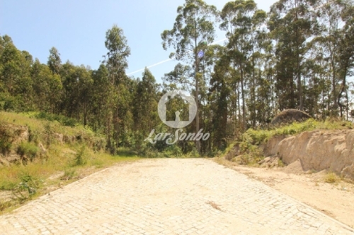 Arões (São Romão) Fafe terrain foto 327786