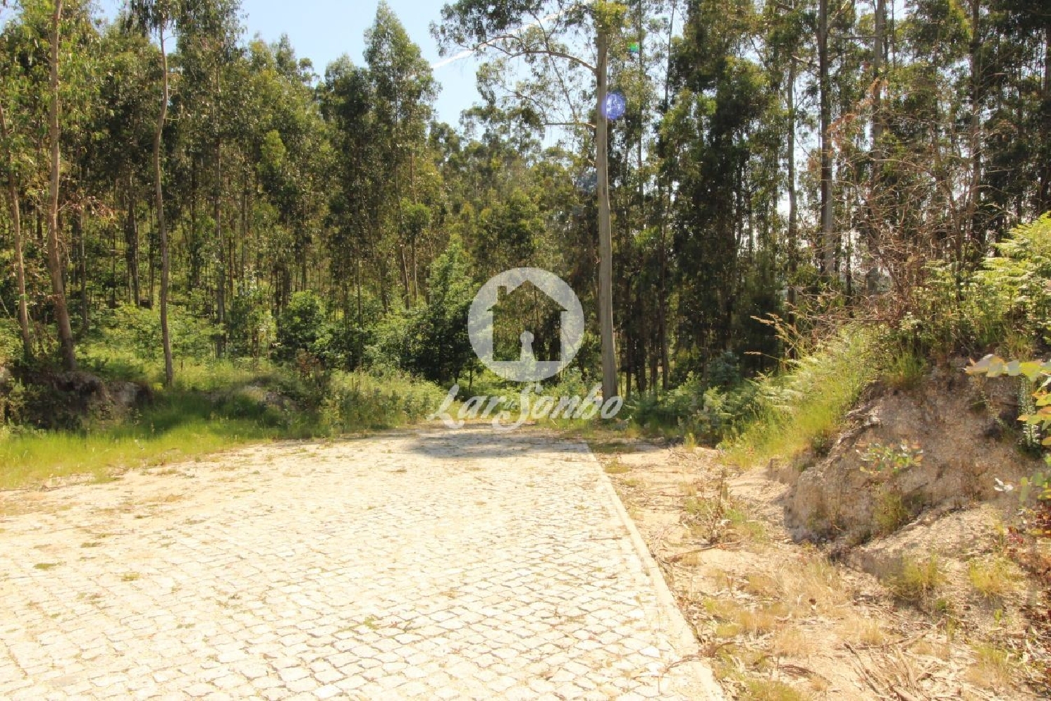 à venda terreno Arões (São Romão) Fafe 3