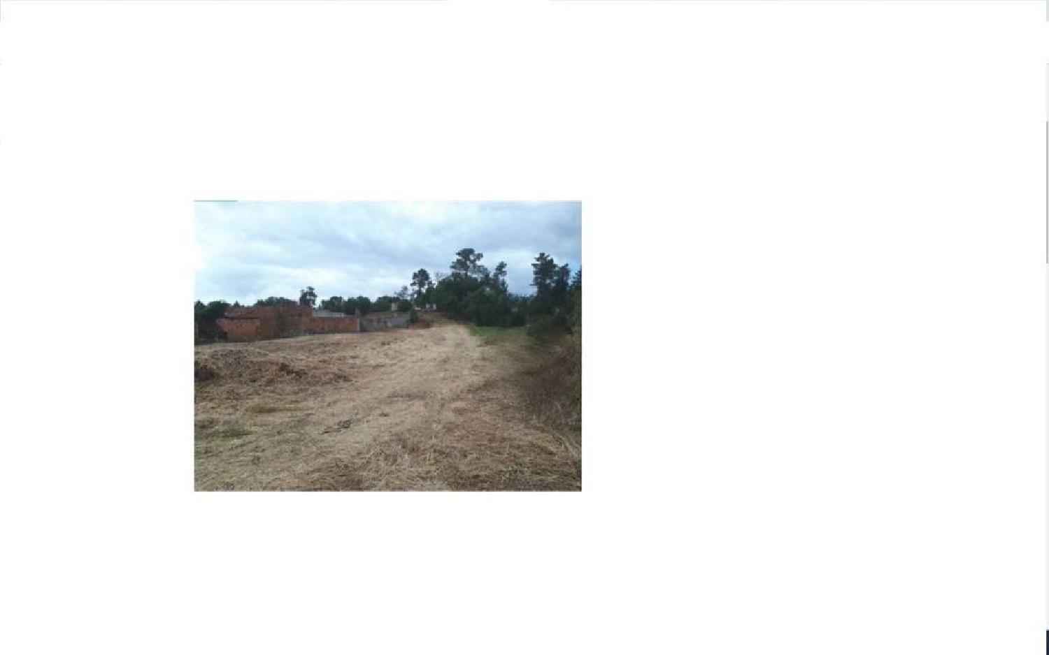  à venda terreno Arruda dos Pisões Rio Maior 1