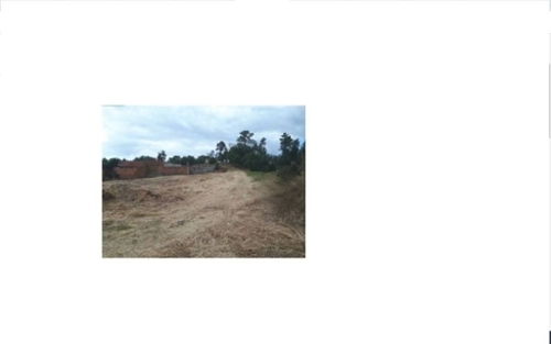 Arruda dos Pisões Rio Maior terreno foto 325220