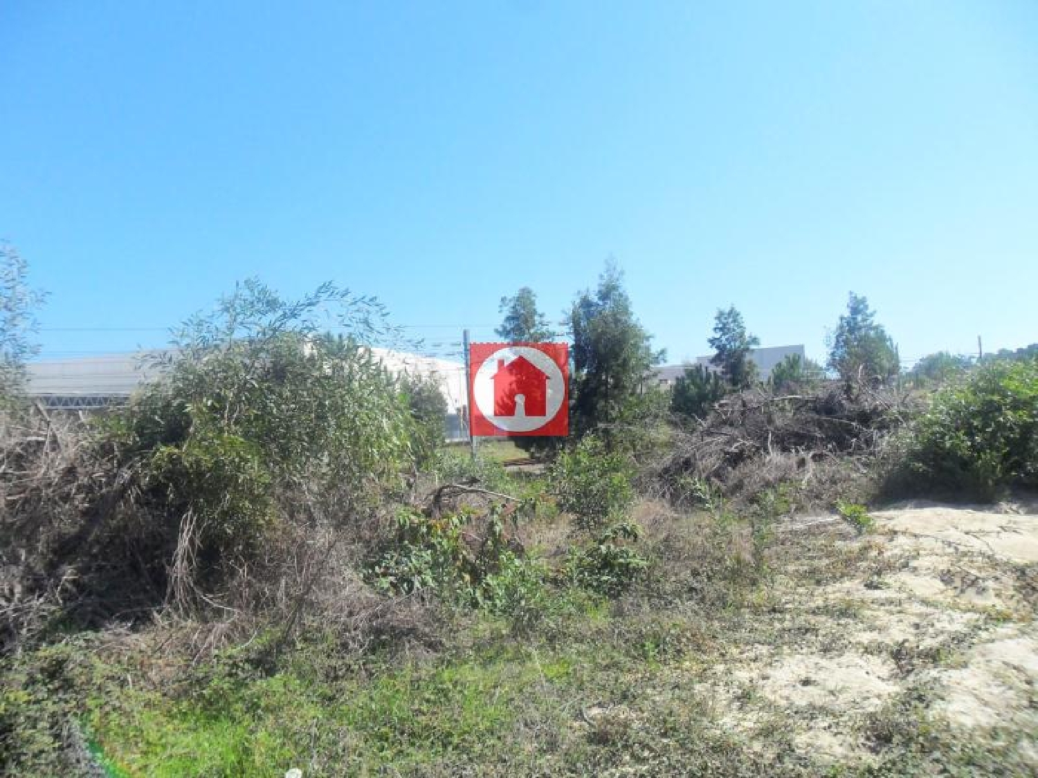  te koop terrein Árvore Vila Do Conde 3