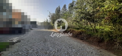 Árvore Vila Do Conde terrein foto 320878