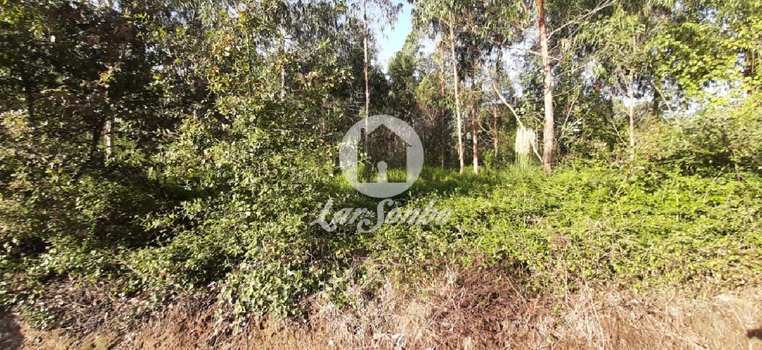 à venda terreno Árvore Vila Do Conde 3