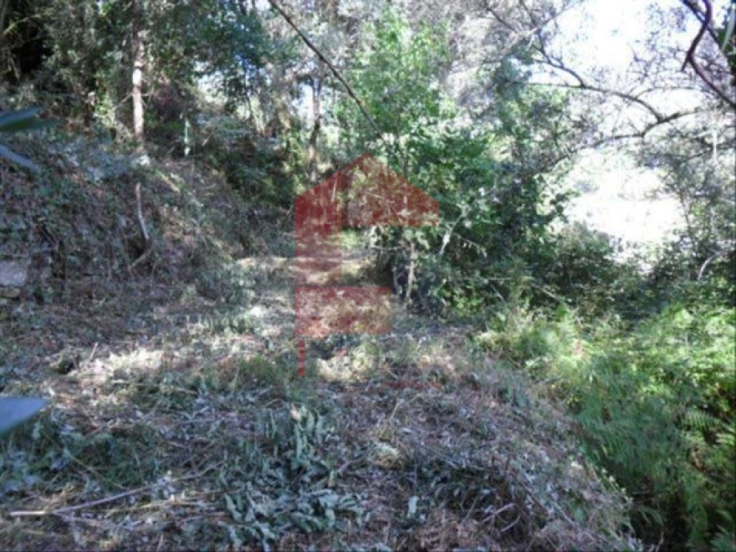 te koop terrein Atiães Vila Verde 2