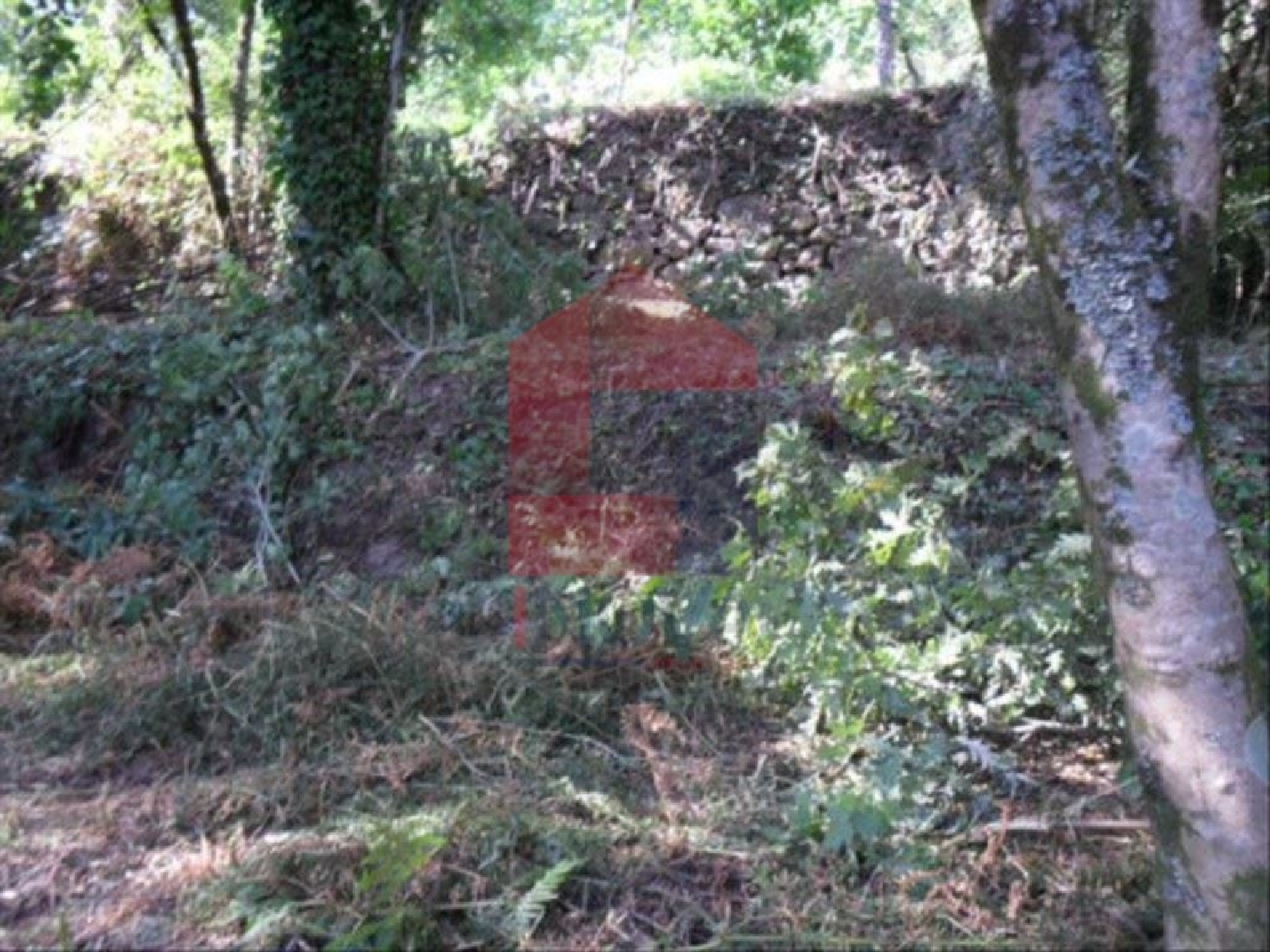 te koop terrein Atiães Vila Verde 3