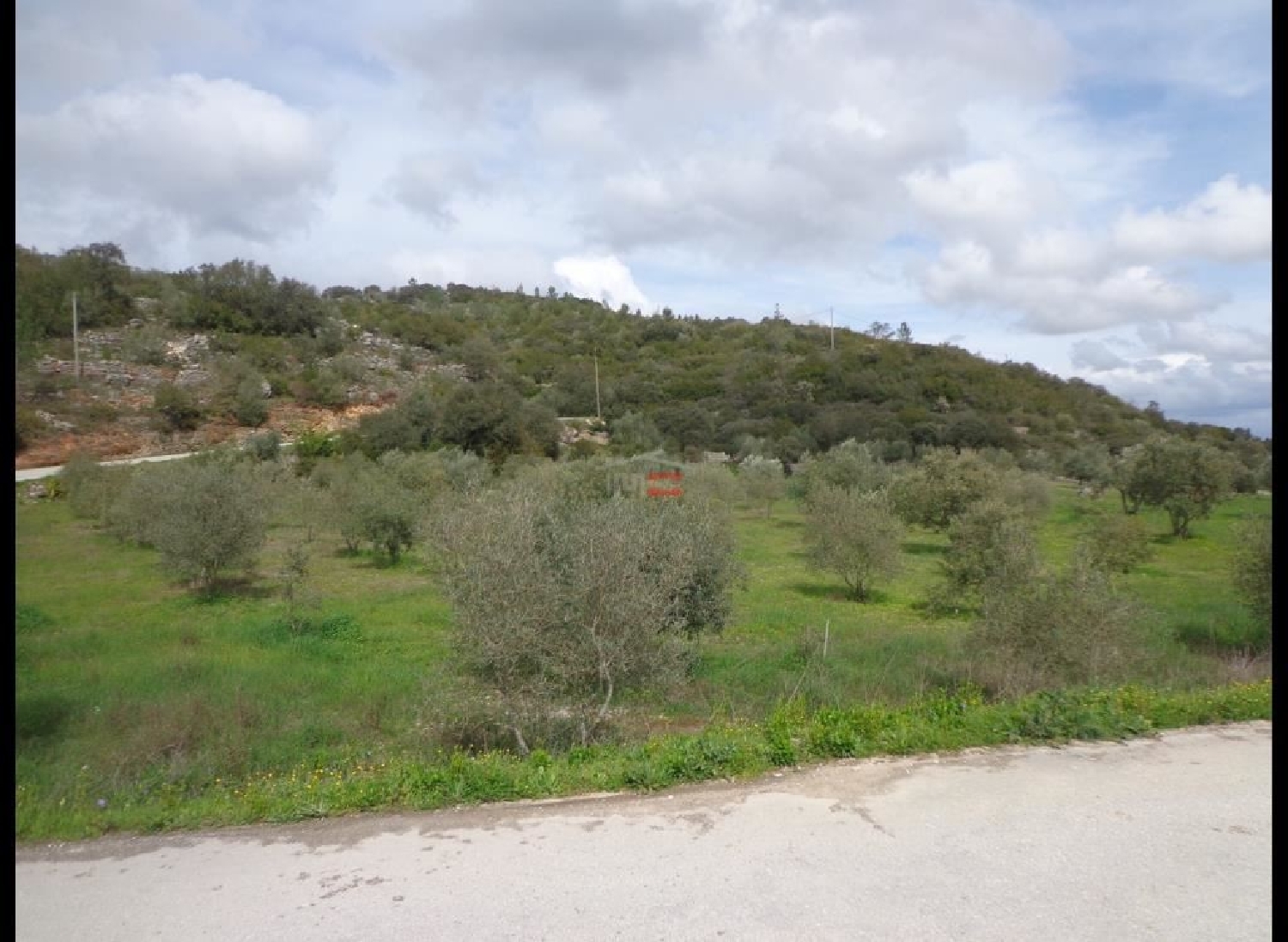  for sale terrain Atouguia Ourém 1
