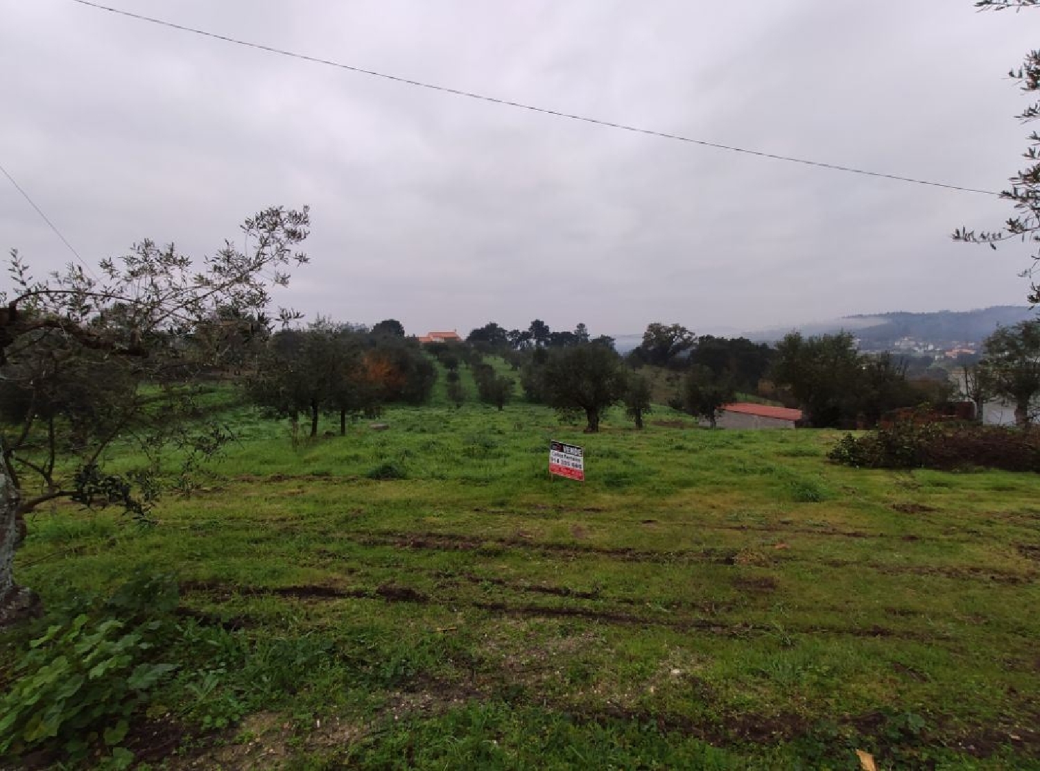 for sale terrain Atouguia Ourém 2