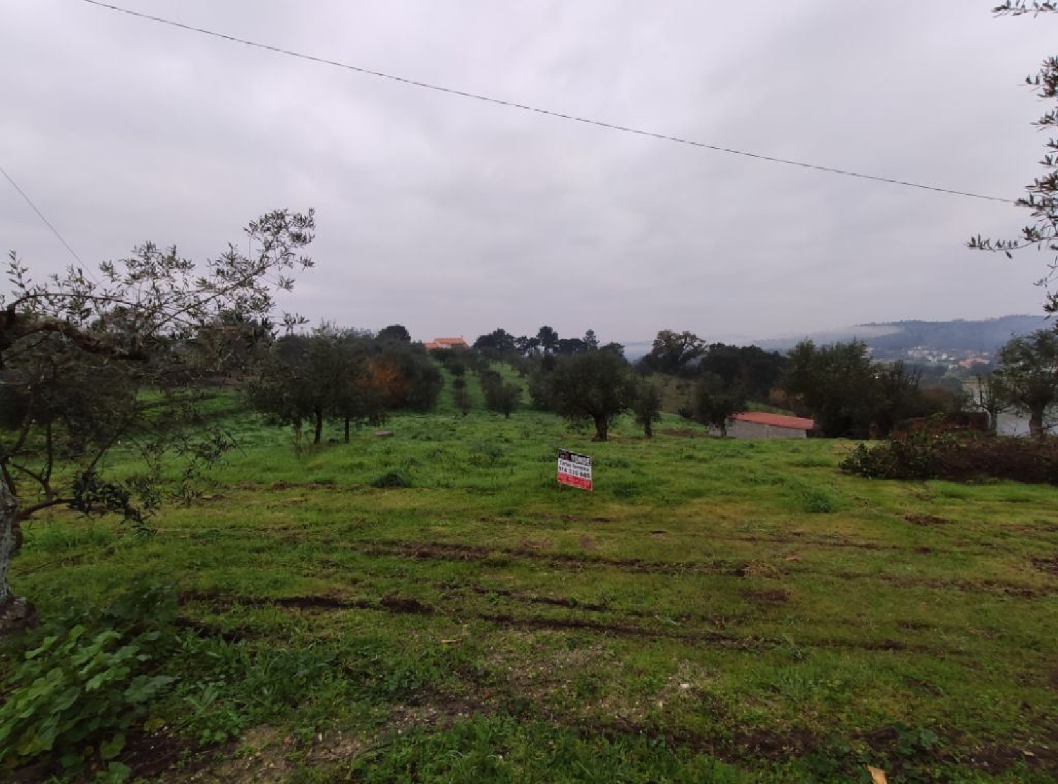 for sale terrain Atouguia Ourém 3