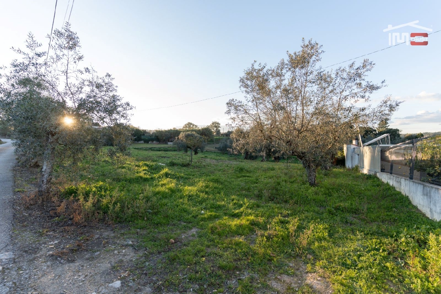  for sale terrain Atouguia Ourém 1