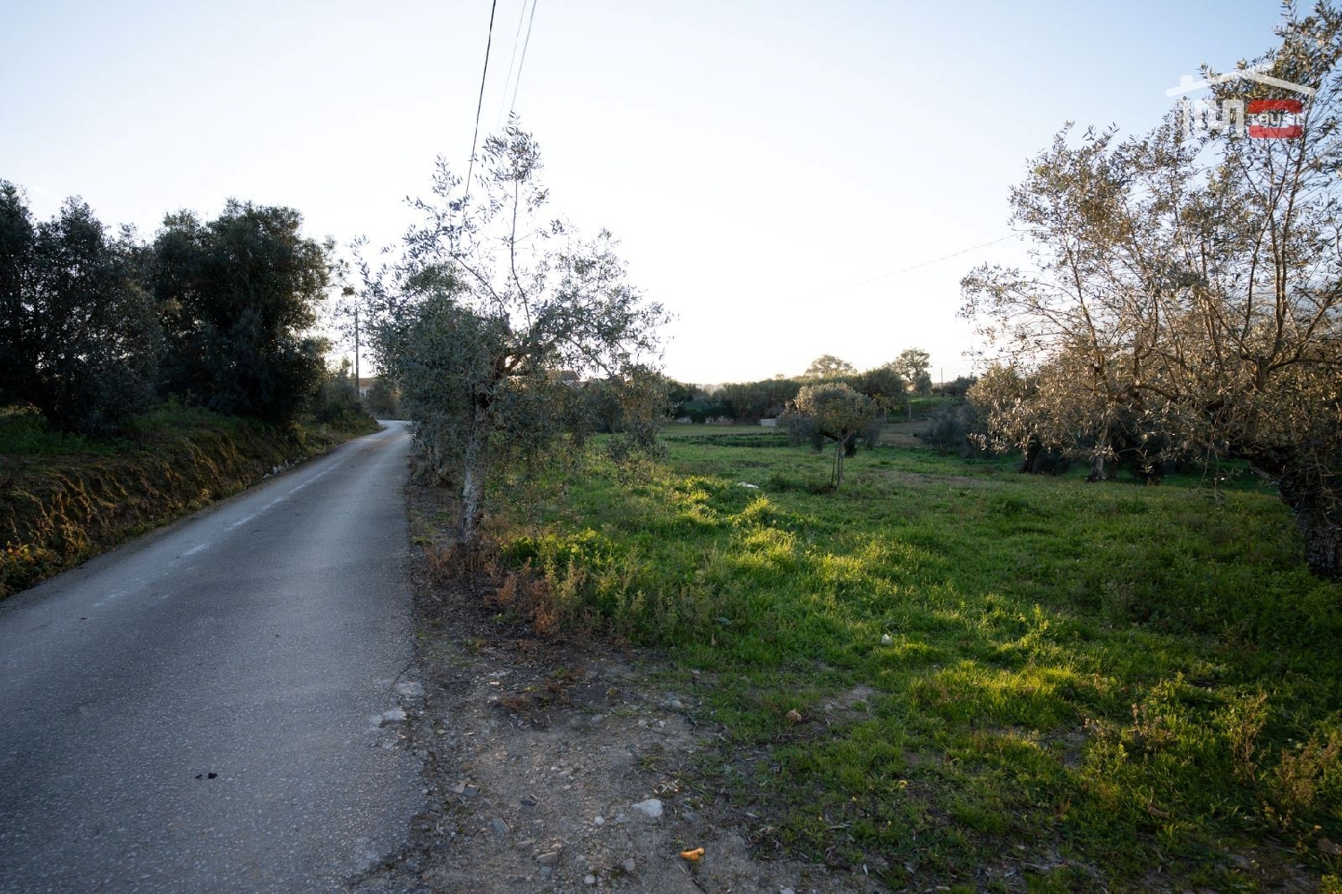 for sale terrain Atouguia Ourém 2