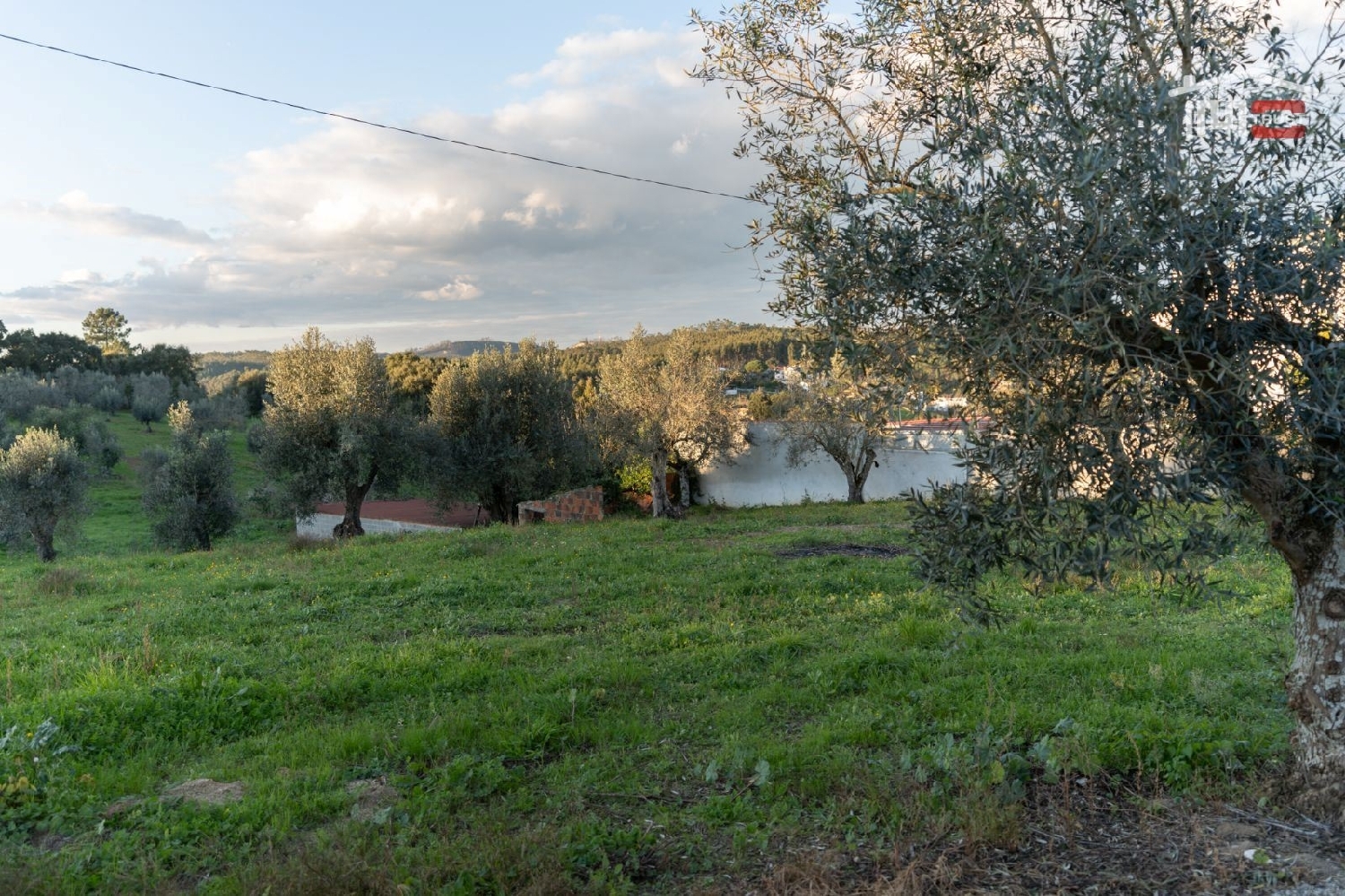 for sale terrain Atouguia Ourém 3