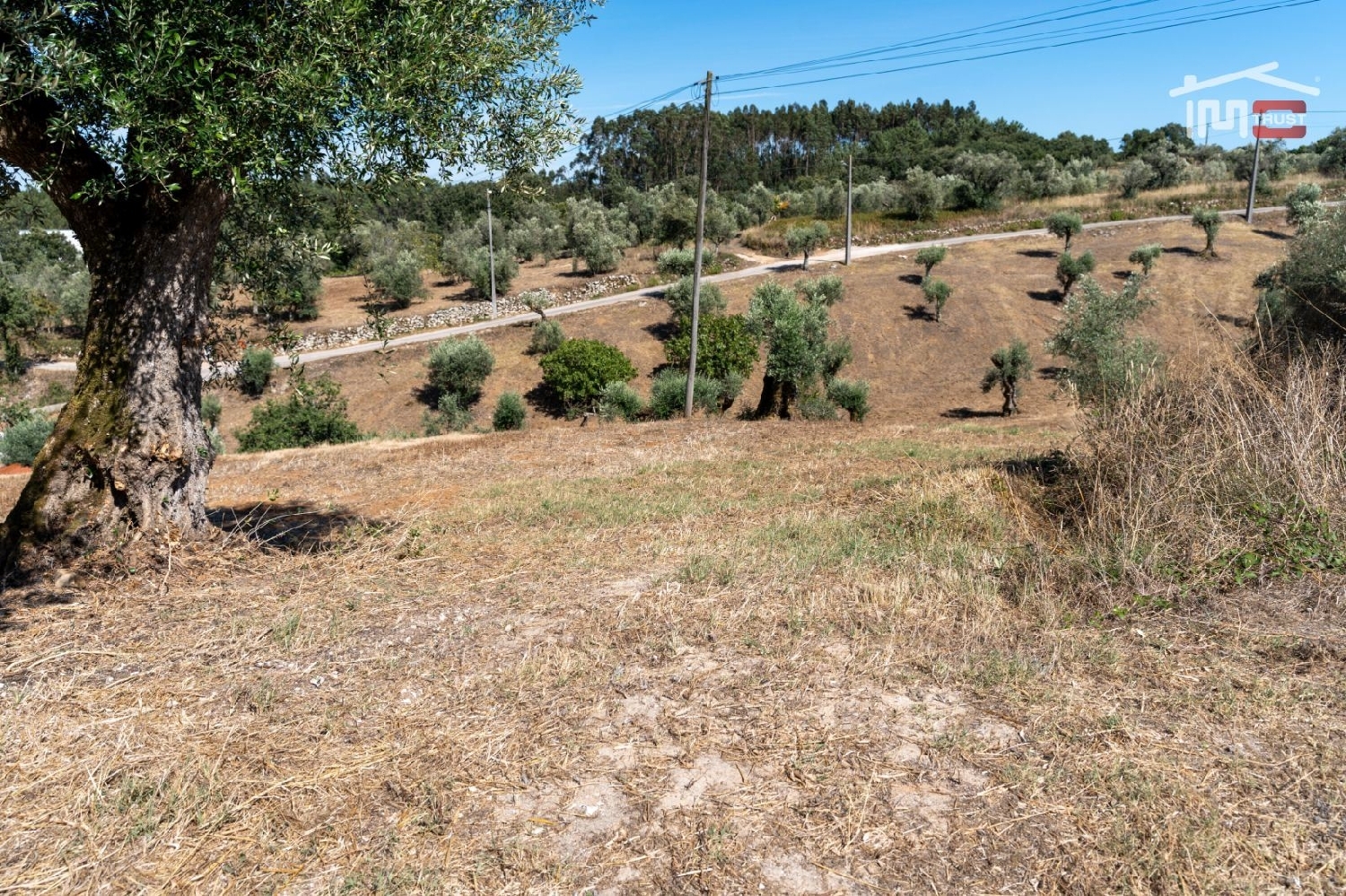 for sale terrain Atouguia Ourém 2