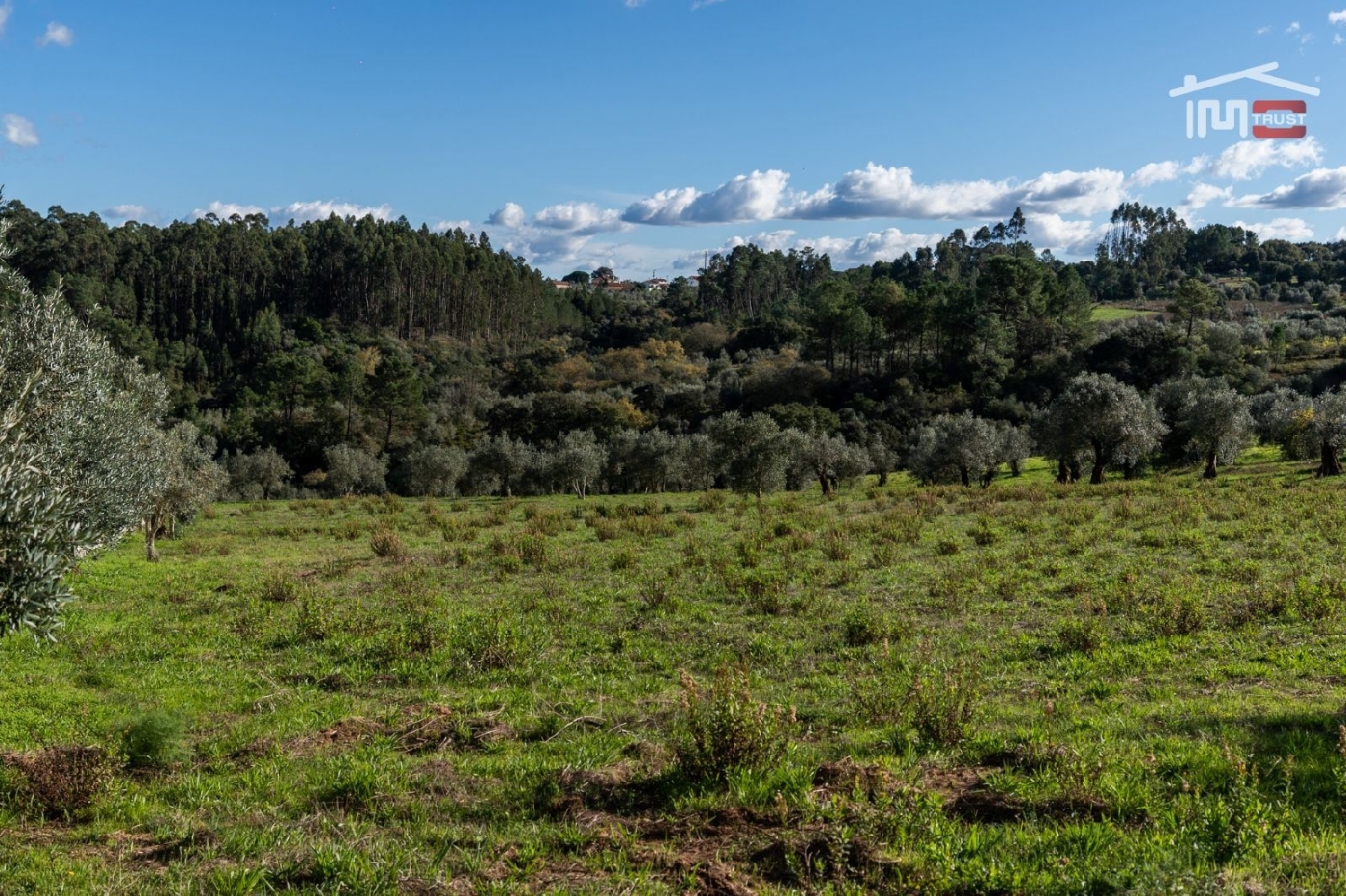 for sale terrain Atouguia Ourém 2