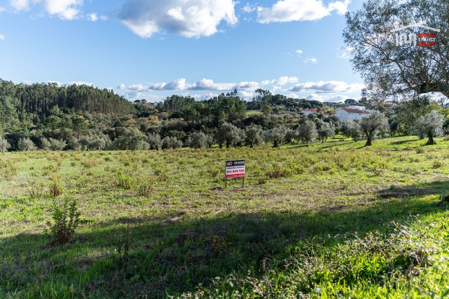for sale terrain Atouguia Ourém 3