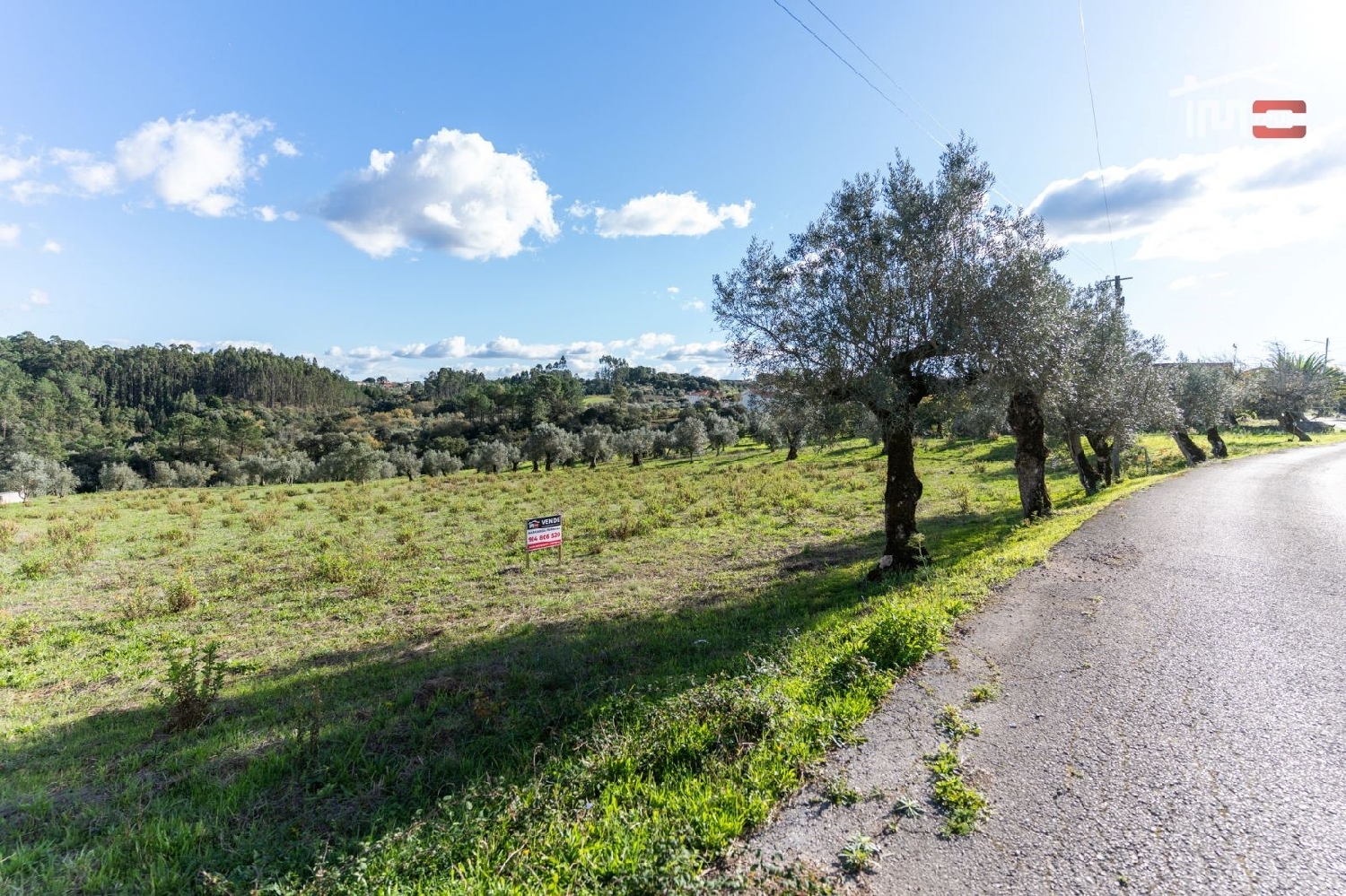 for sale terrain Atouguia Ourém 3