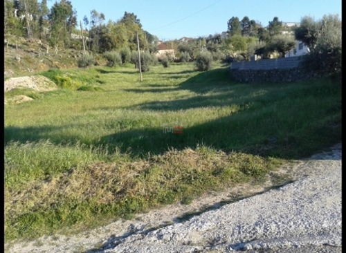 Atouguia Ourém terrain foto 326614