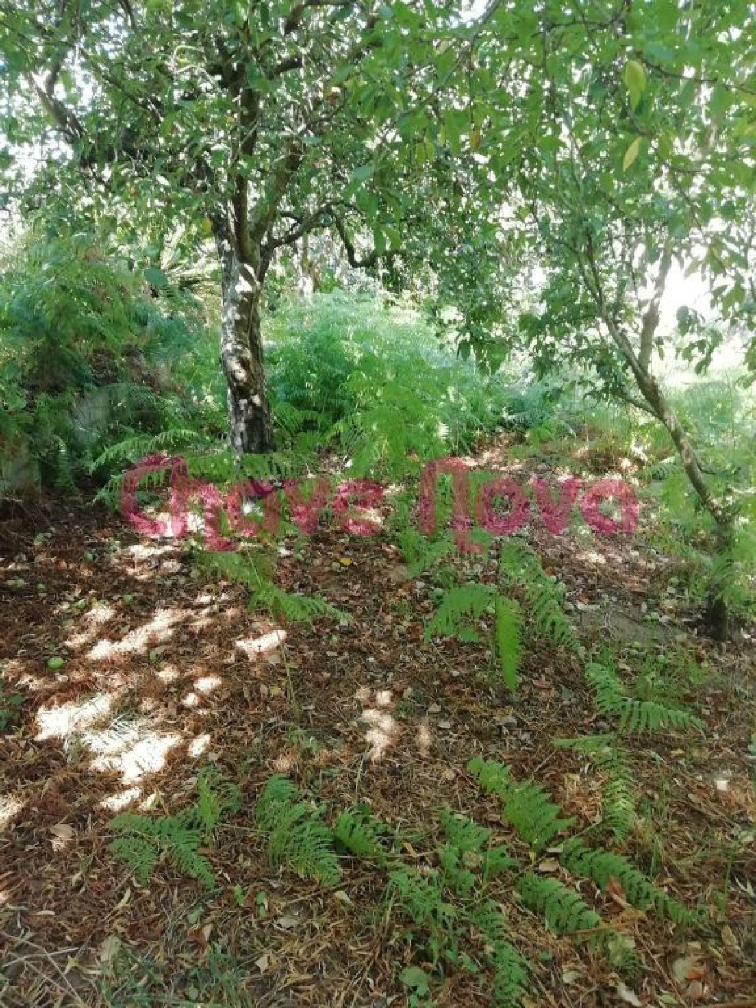  te koop terrein Avintes Vila Nova De Gaia 1