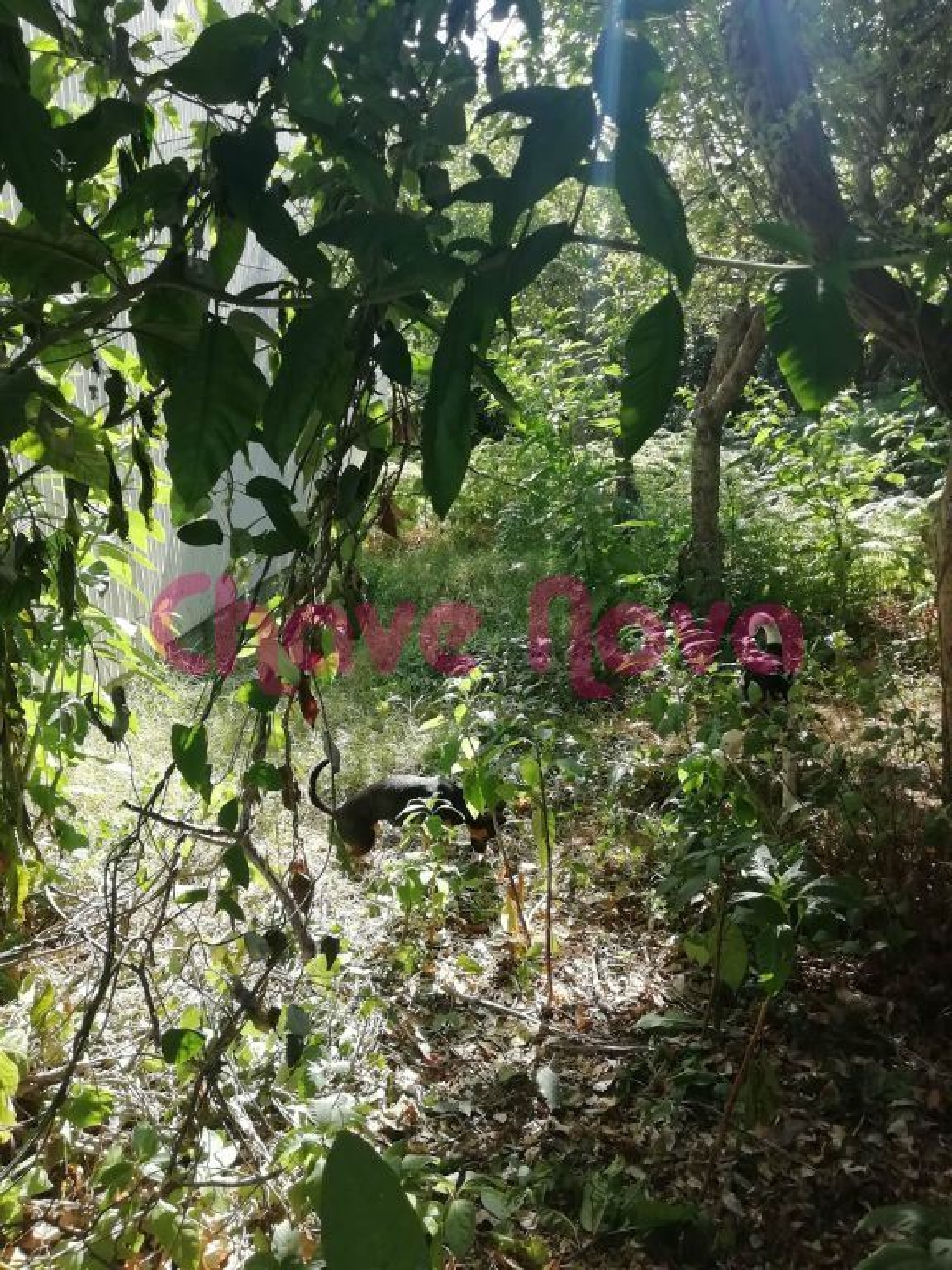  te koop terrein Avintes Vila Nova De Gaia 3