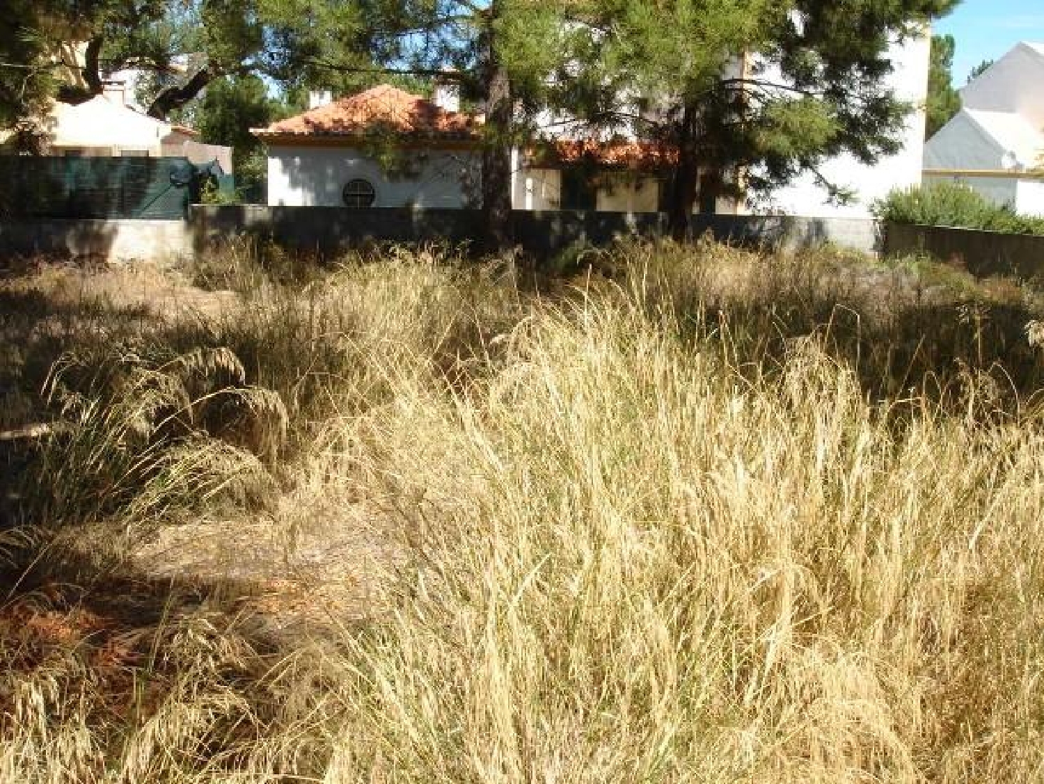  en venta terreno Azeitão Setúbal 1