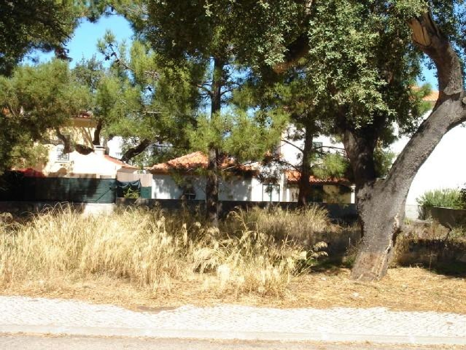 en venta terreno Azeitão Setúbal 2