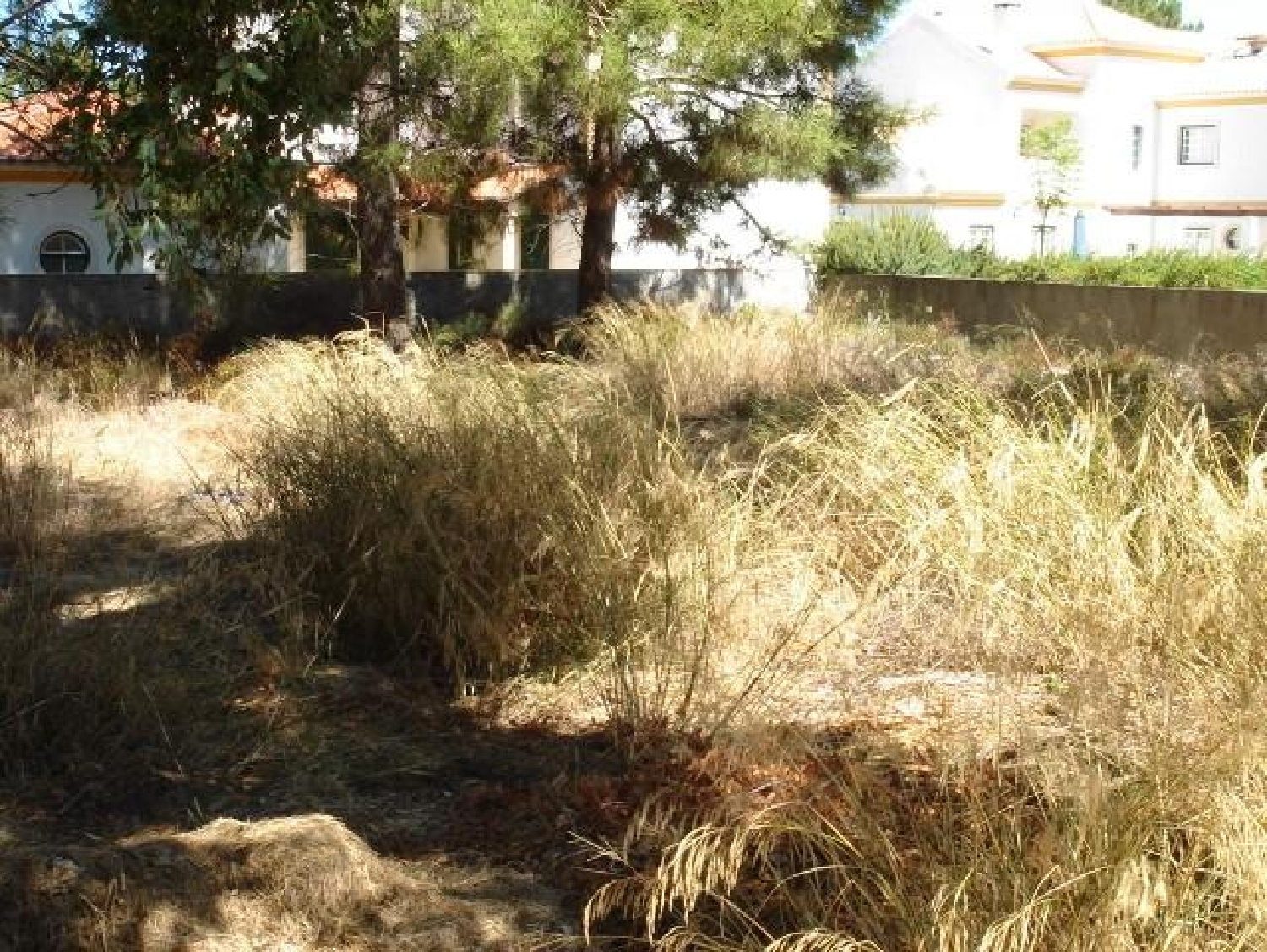 en venta terreno Azeitão Setúbal 3