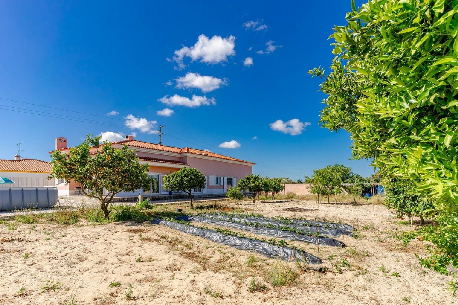  en venta terreno Azeitão Setúbal 3