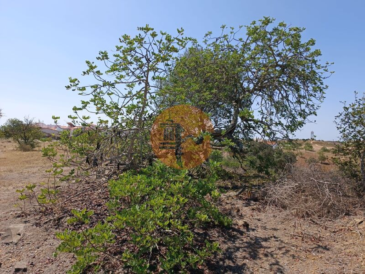  te koop terrein Azinhal Albufeira 4
