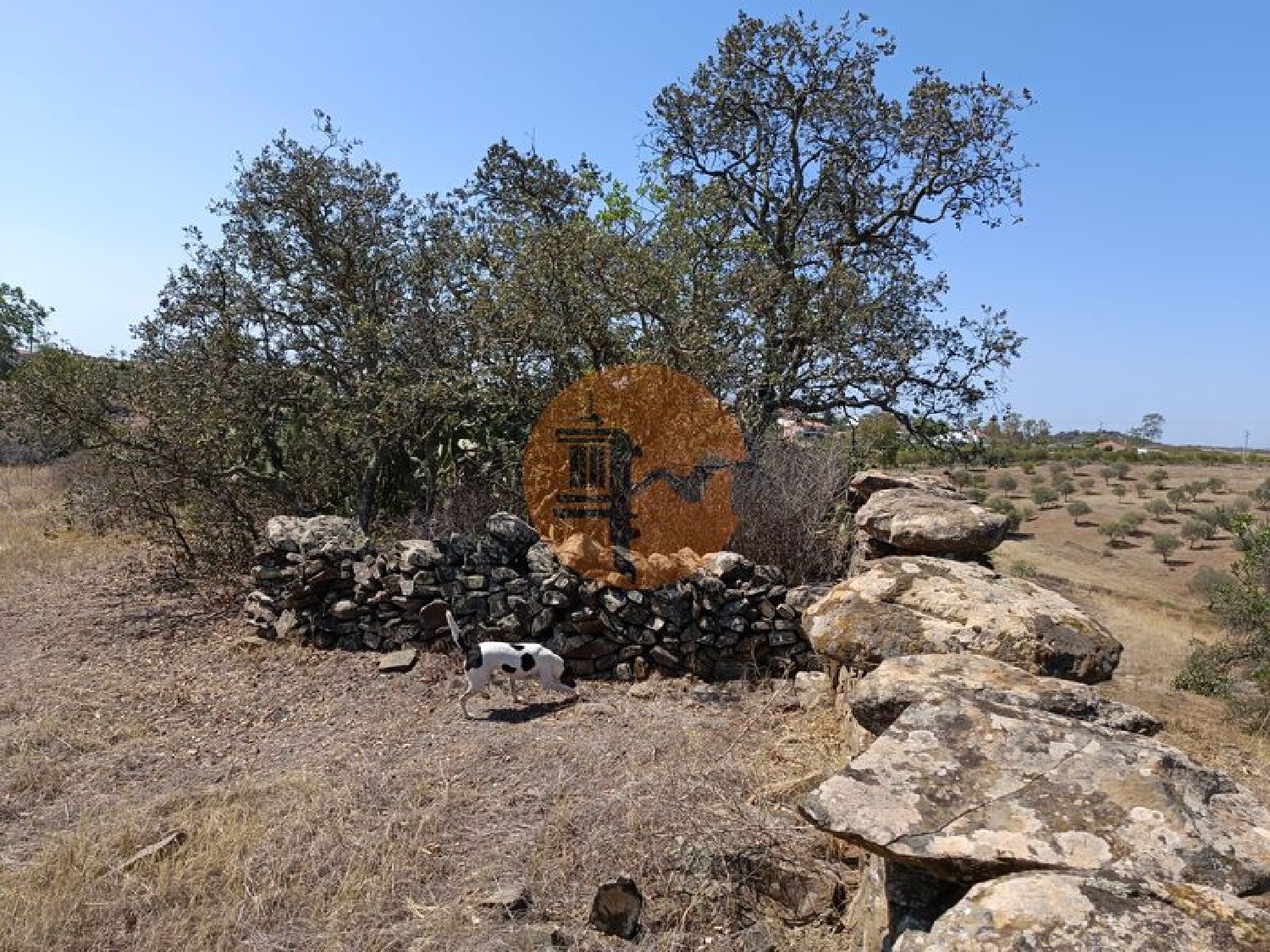  te koop terrein Azinhal Albufeira 7