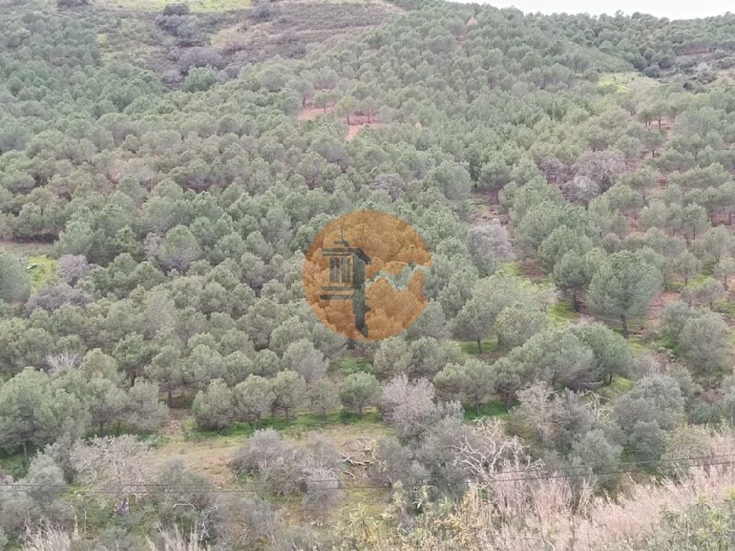  kaufen Grundstück Azinhal Albufeira 4