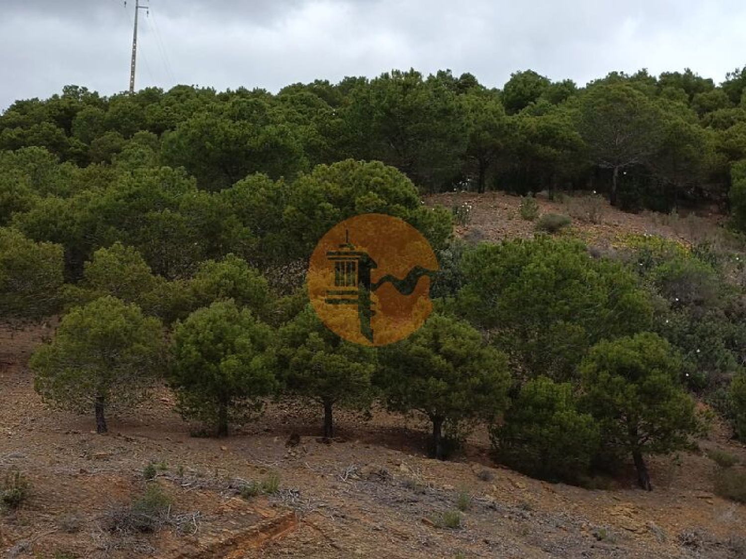  kaufen Grundstück Azinhal Albufeira 6